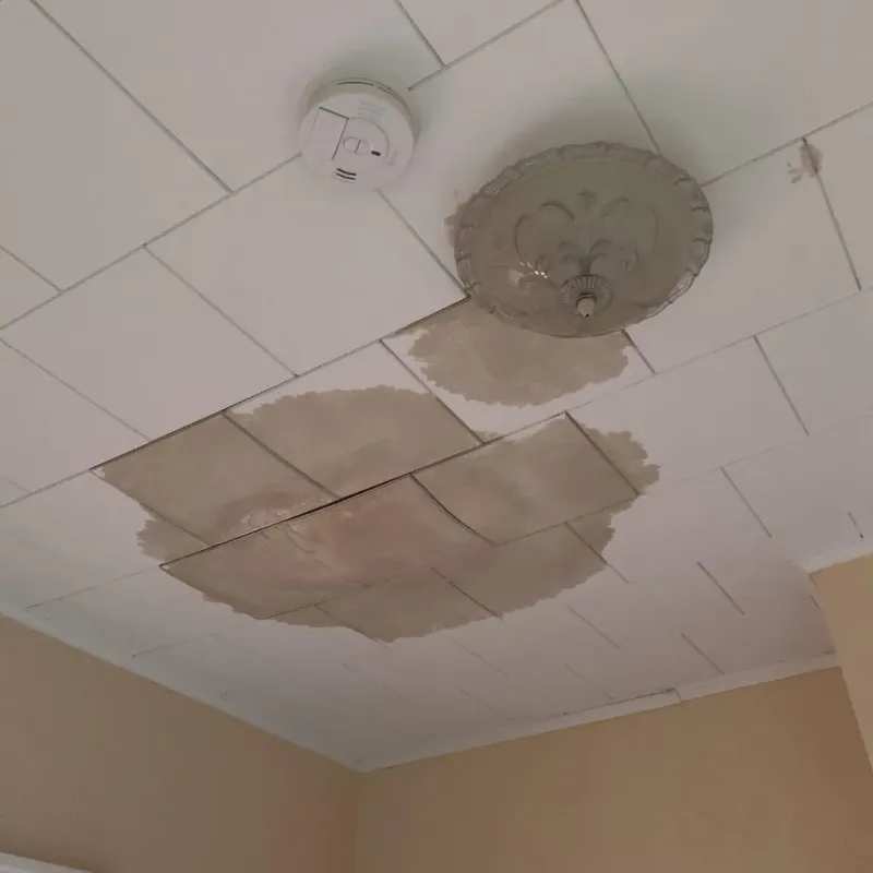 Ceiling Water Damage Repair in Laurel Park, NC