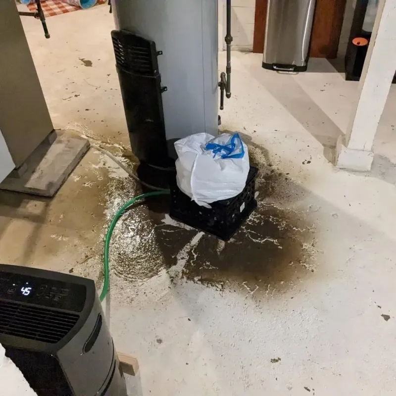 Sewage Backup Cleanup Service in Laurel Park, NC